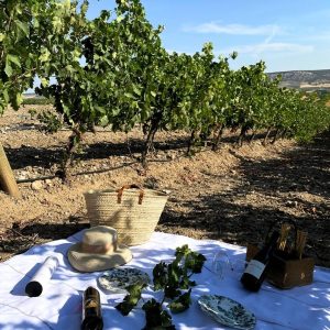 Experiencia Viñedo Adultos